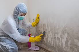 Best Mold Removal for HVAC Installations  in Horse Cave, KY